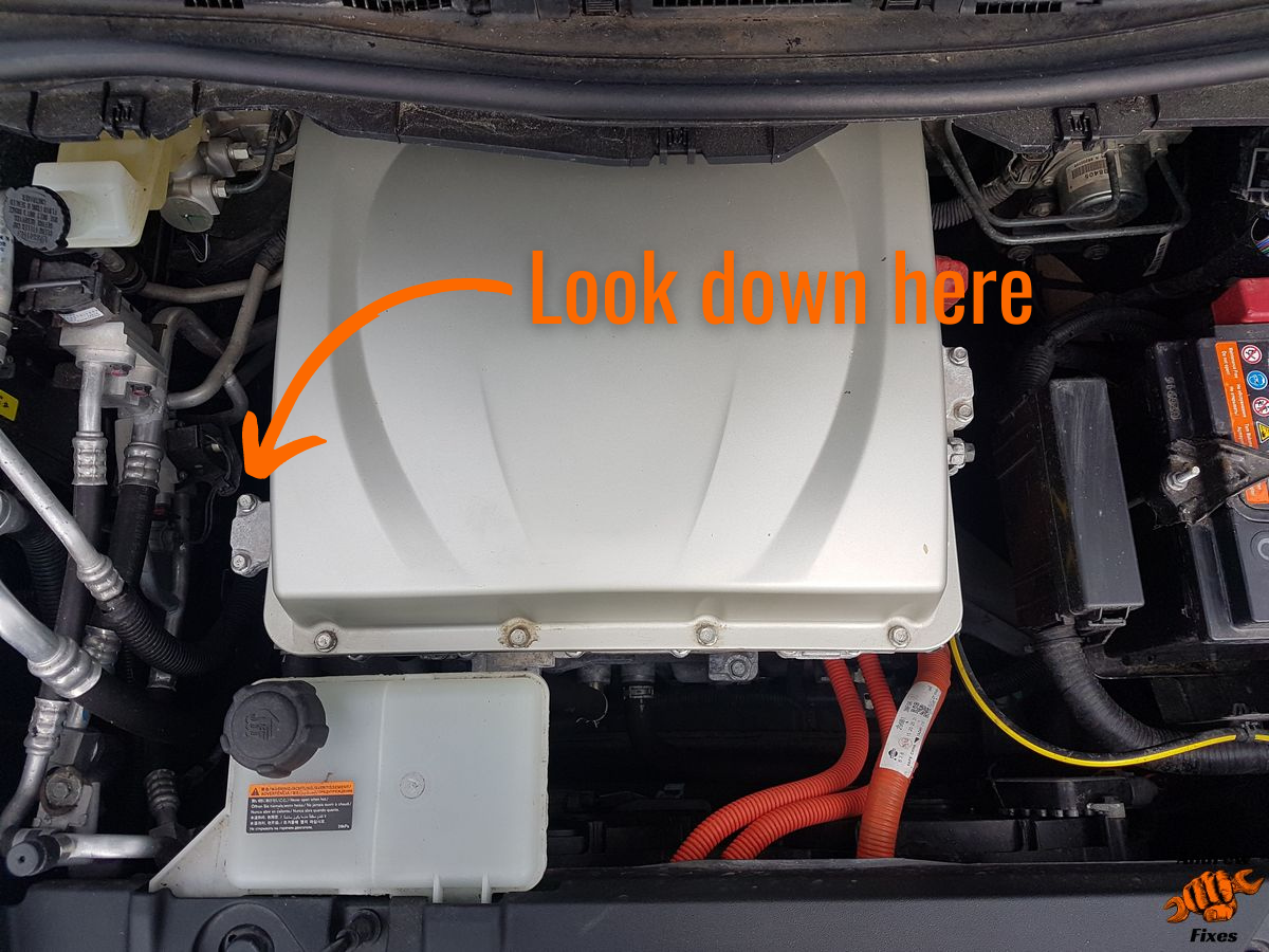 Picture showing Nissan Leaf charger label location